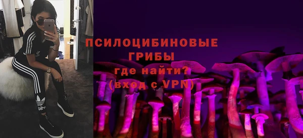 ECSTASY Алексин