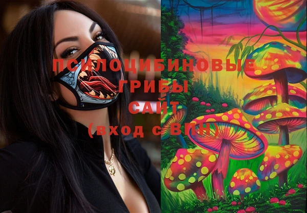 spice Алексеевка