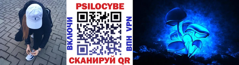 Псилоцибиновые грибы Psilocybe  магазин    Ейск 